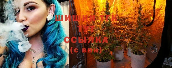 соль ск Лиски