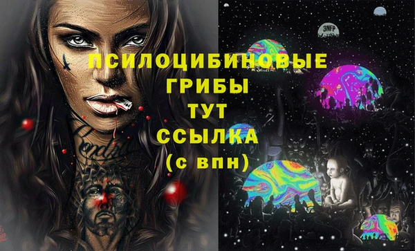 молекула духа Липки