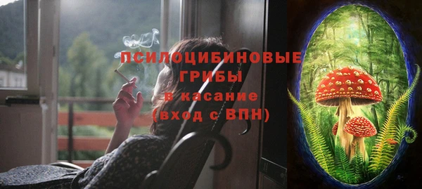 трава Куйбышев