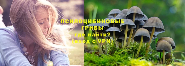 MDMA Кукмор