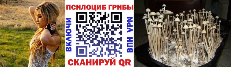 Псилоцибиновые грибы GOLDEN TEACHER  Темрюк 